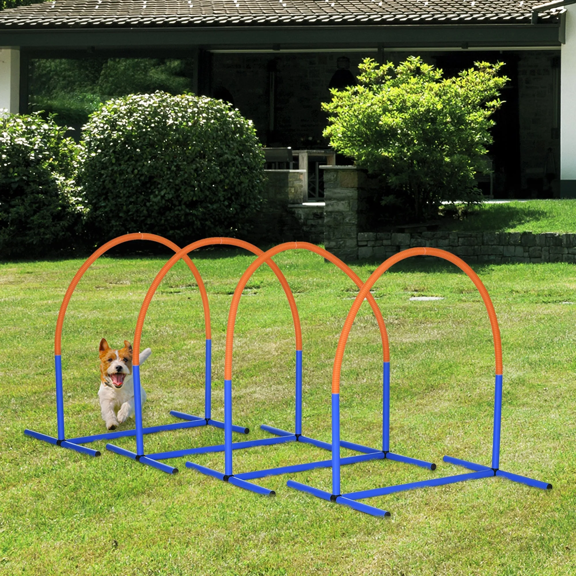 4Piece Portable Dog Agility Equipment Blue