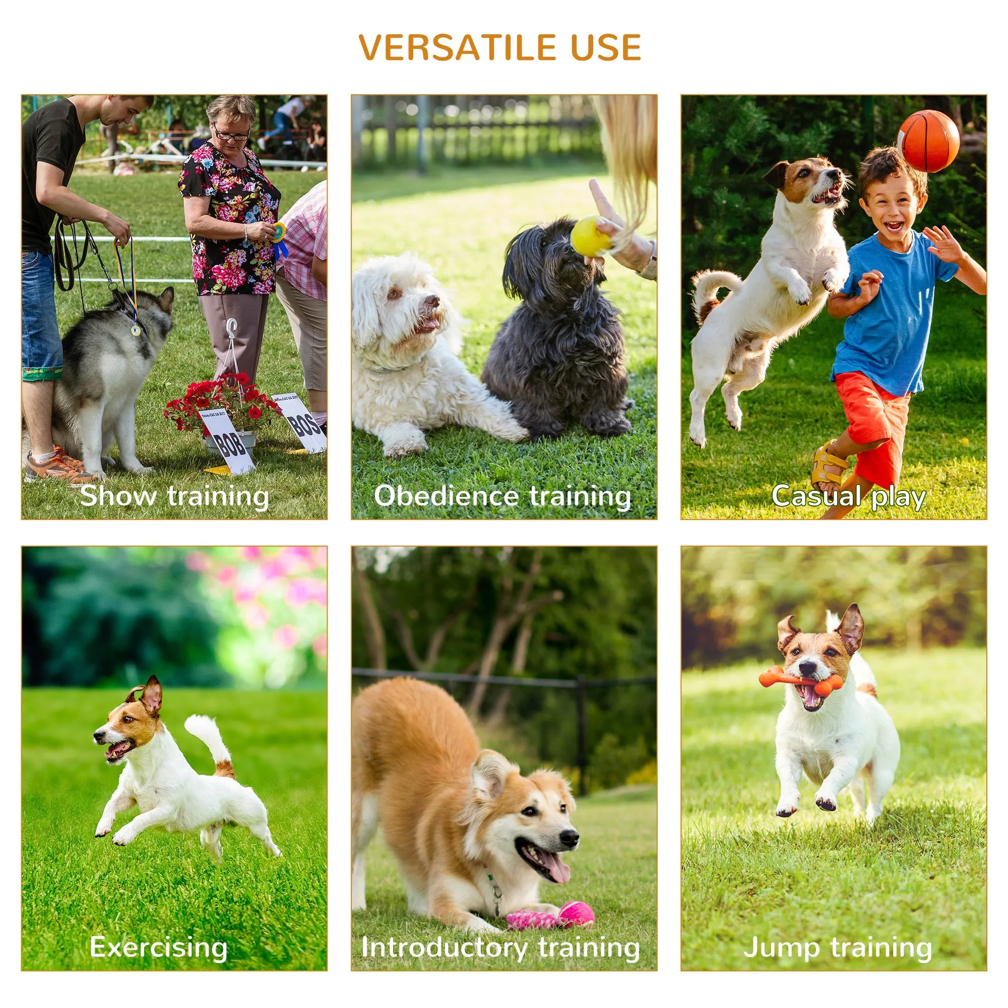 4Piece Portable Pet Agility Training Obstacle Set for DogsWith Adjustable Weave Pole Jumping Ring Adjustable High Jump Tunnel