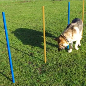 Agility Slalom Poles - 5 Pack