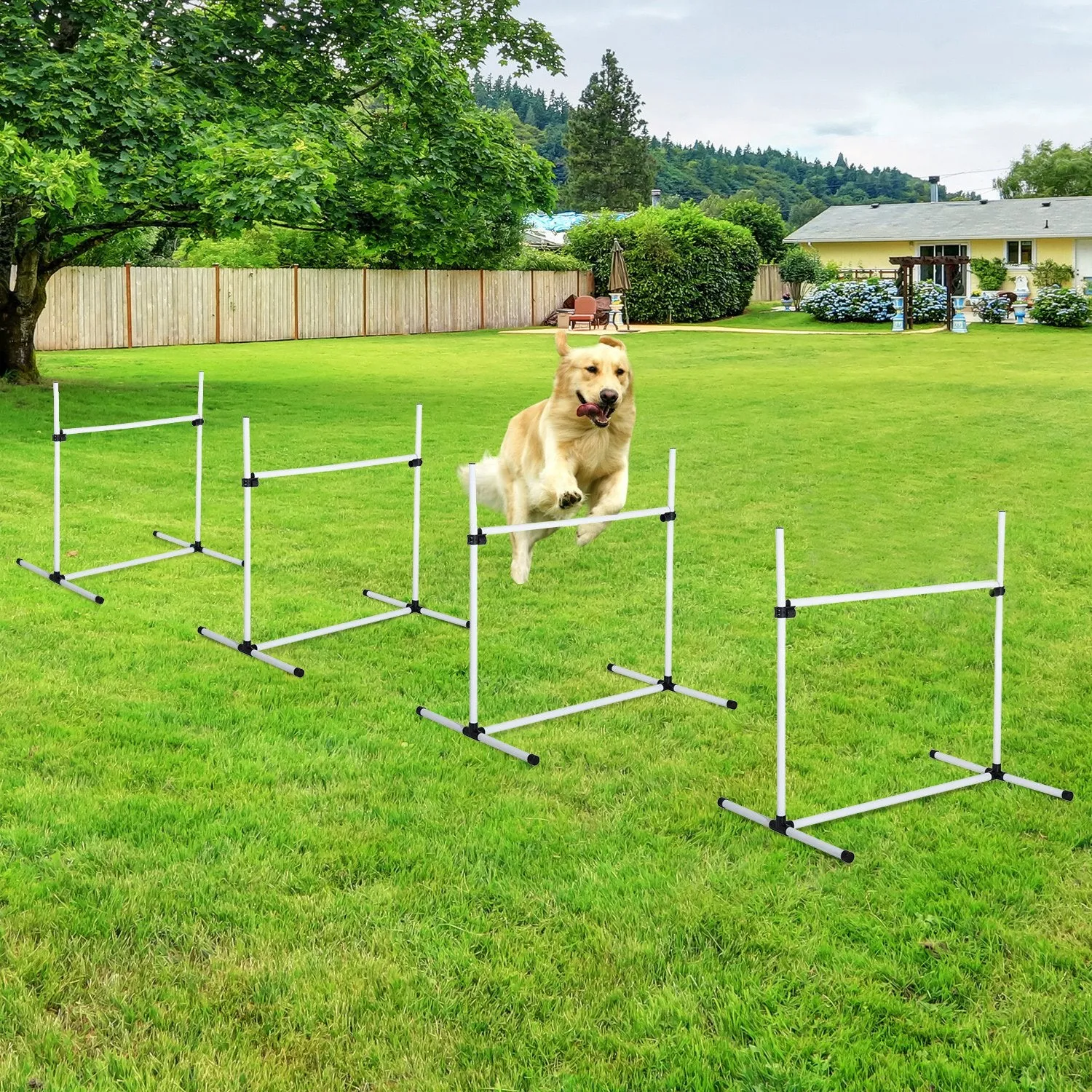 Canine Agility Set-White