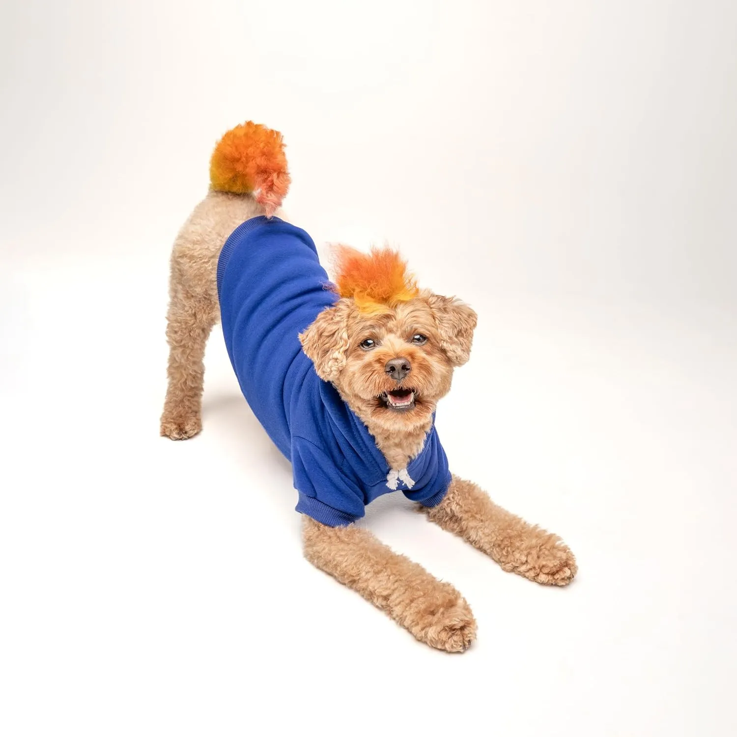 Chick Magnet Dog Hoodie | Fleece Lined |Leash Hole| Easter Bunny | Egg Hunt| Funny Outfit Prop Photoshoot|Royal Blue, Small (34)