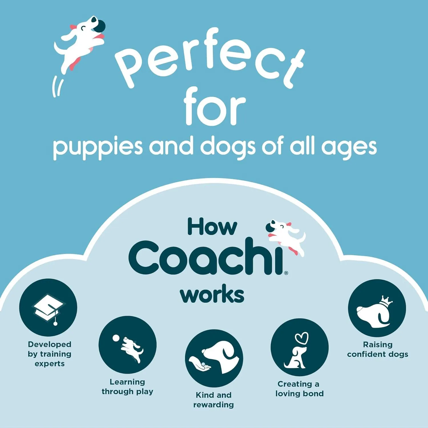 Coachi Train & Treat Bag