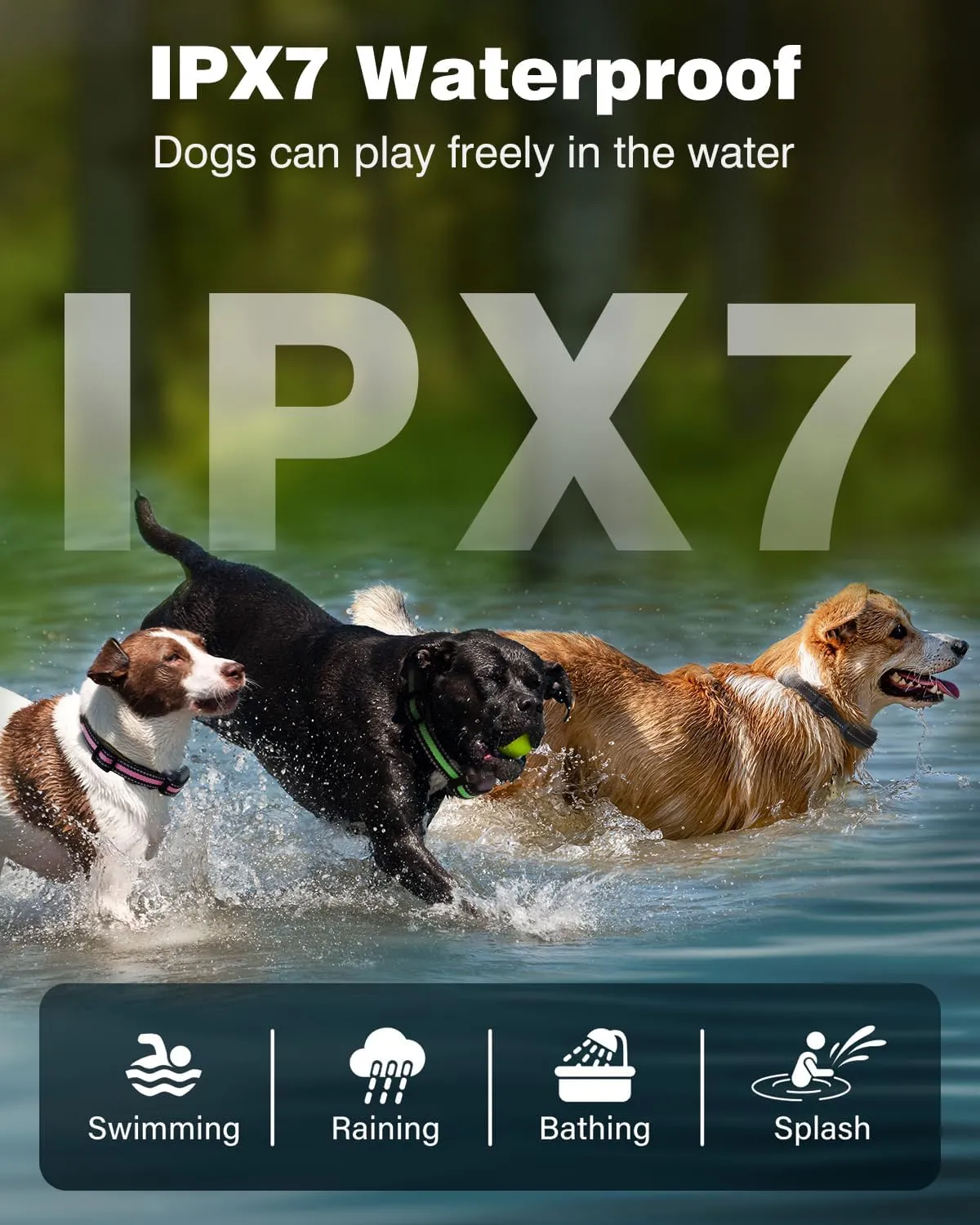 Dog Shock Collar with Remote 3 Pack -3300FT Rechargeable IPX7 Waterproof 3 Dogs Training Collar with Fashlight, Electric Collar for Small Medium Large Dogs 5-150lbs, 4 Training Modes, Adjustable Strap