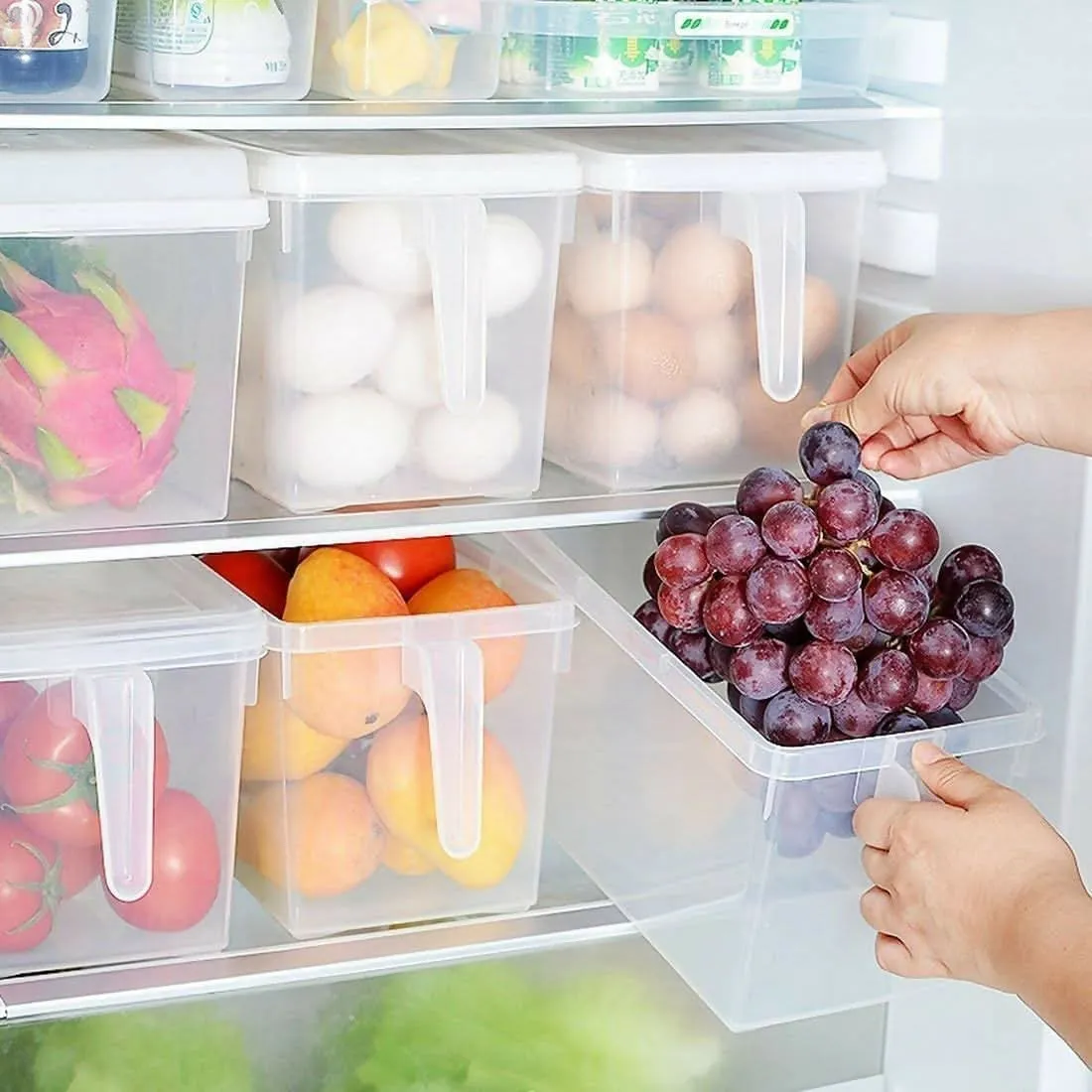 Food Storage Mini Container Organizer Fridge Storage Box Without Bin (Pack of 1)