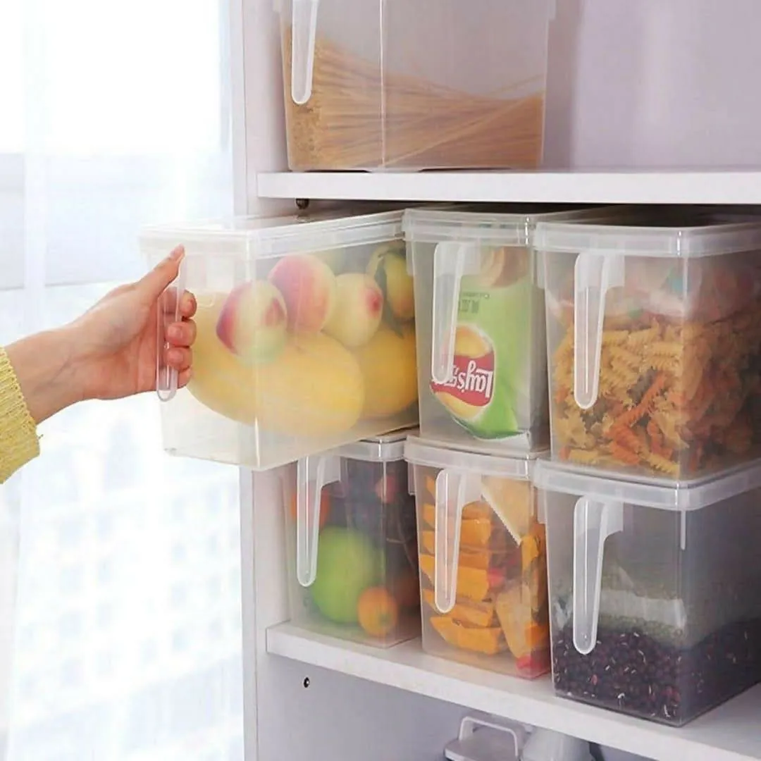 Food Storage Mini Container Organizer Fridge Storage Box Without Bin (Pack of 1)