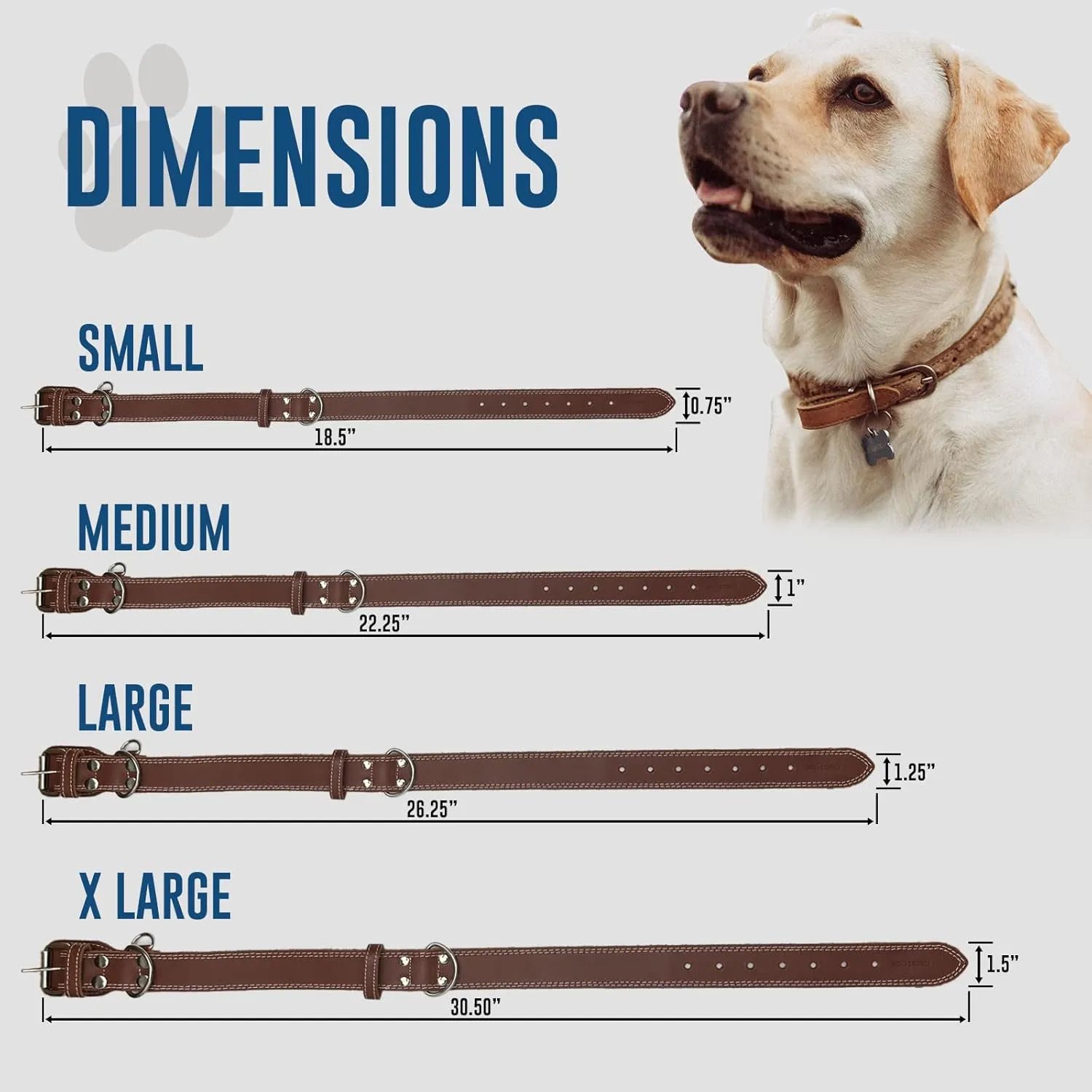 Hides & Knives Leather Dog Collar with Reinforced Hardware, Heavy Duty Dog Collars for All Breeds, Made of Top Grain Genuine Leather That is Soft & Durable (Brown, LG)