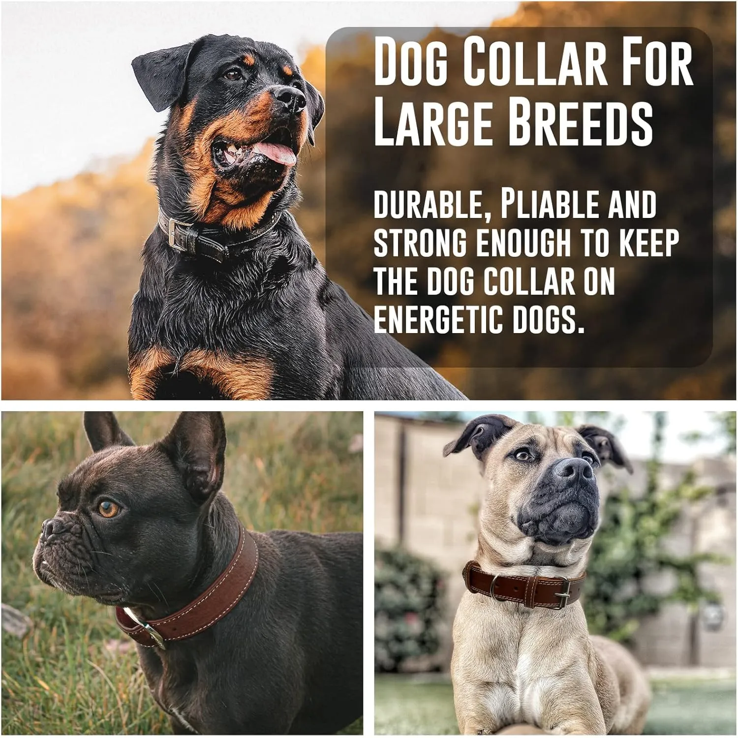 Hides & Knives Leather Dog Collar with Reinforced Hardware, Heavy Duty Dog Collars for All Breeds, Made of Top Grain Genuine Leather That is Soft & Durable (Brown, LG)