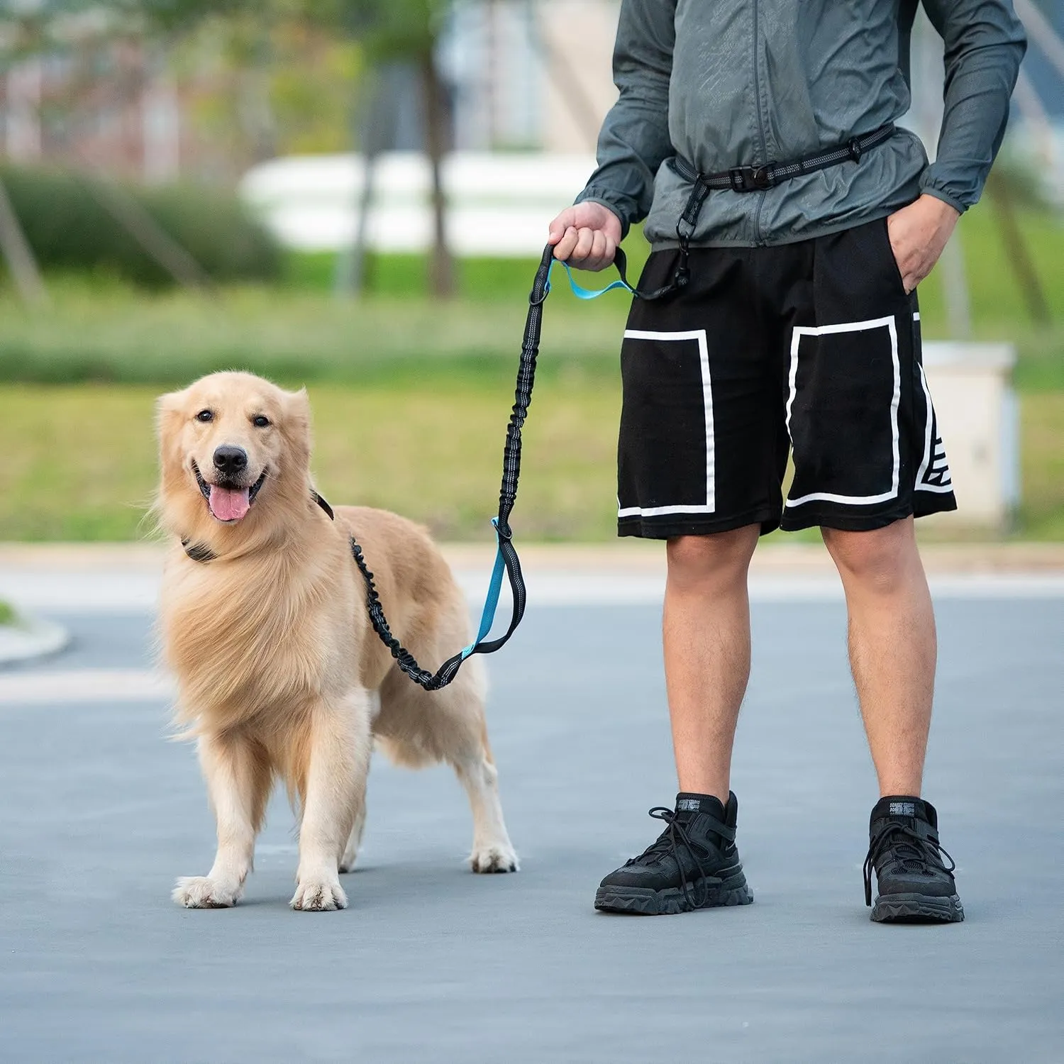 iYoShop Hands Free Dog Leash with Zipper Pouch, Dual Padded Handles and Durable Bungee for Walking, Jogging and Running Your Dog (Large, 25-120 lbs, Red)