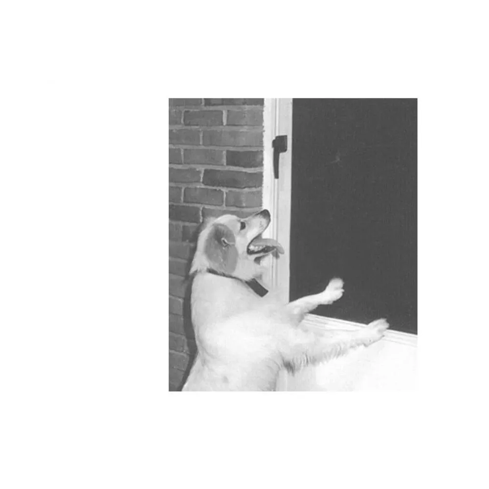 New York Wire | ADFORS - Paw-Proof 48" Pet Screen Wire By The Foot
