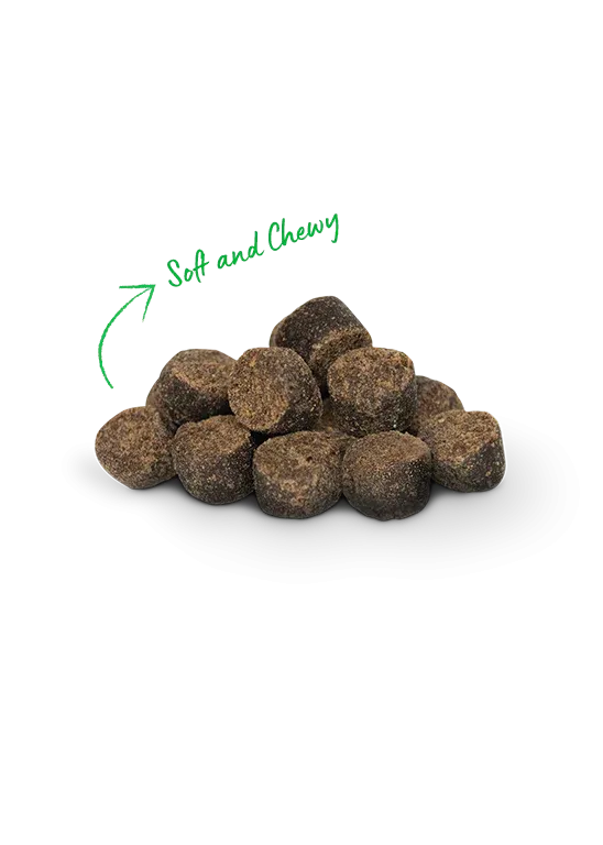 Open Farm Be Good Bites Plant & Pumpkin Recipe 6-oz, Dog Treat