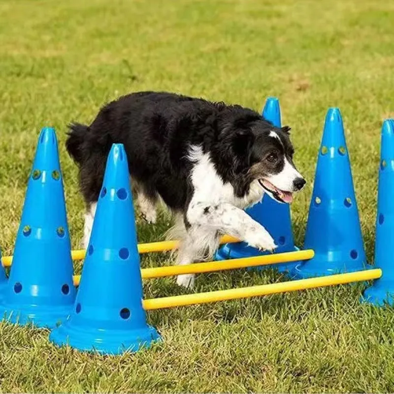 Pet Agility Jumping Bar Training Set