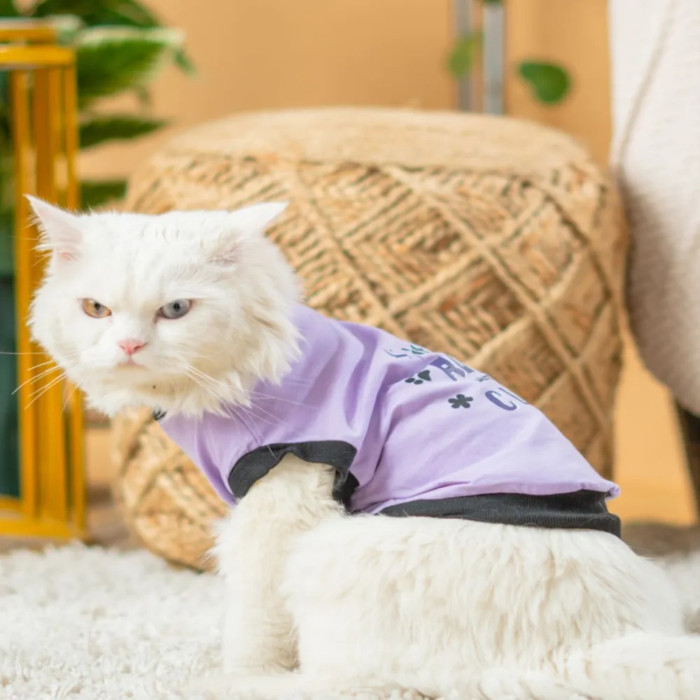 Pet Set Go Ruff Being Cute T-shirt for Cats (Purple)