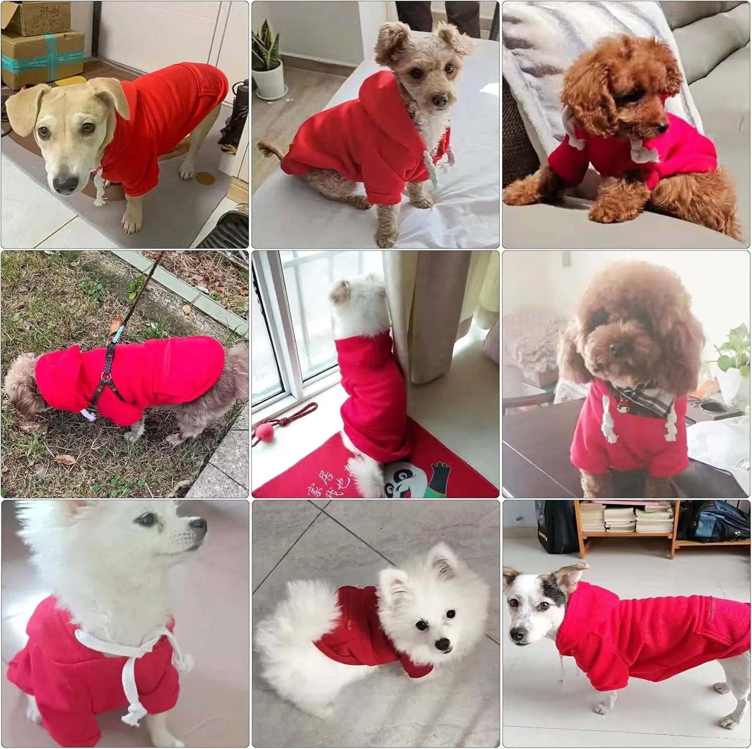 PETCARE Dog Hoodies Pet Small Dog Sweater Red Warm Soft Fleece Sweatshirts with Pocket Winter Puppy Cat Sweaters Hooded Clothes for Small Dogs Chihuahua Outfits Yorkies French Bulldog Costume