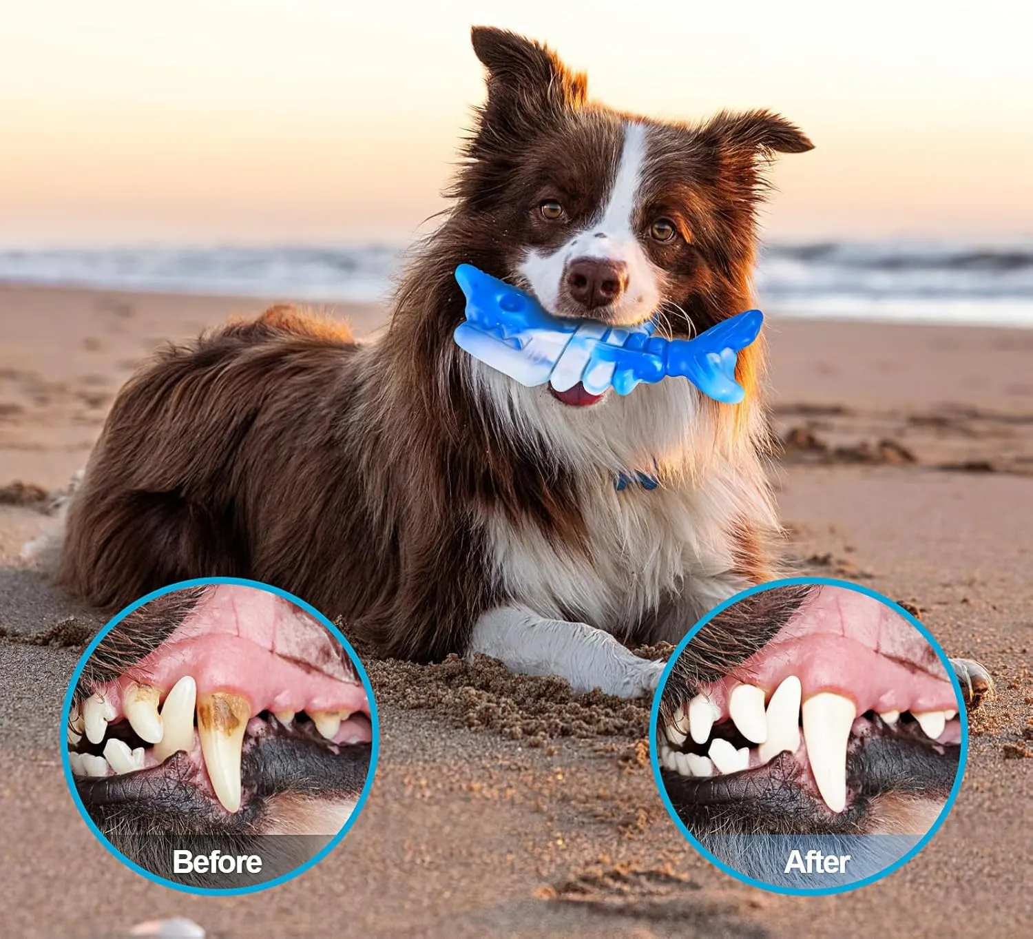 PETSTA Heavy Duty Dog Chew Toys for Aggressive Chewers, Tough Toys for Medium/Large Dogs