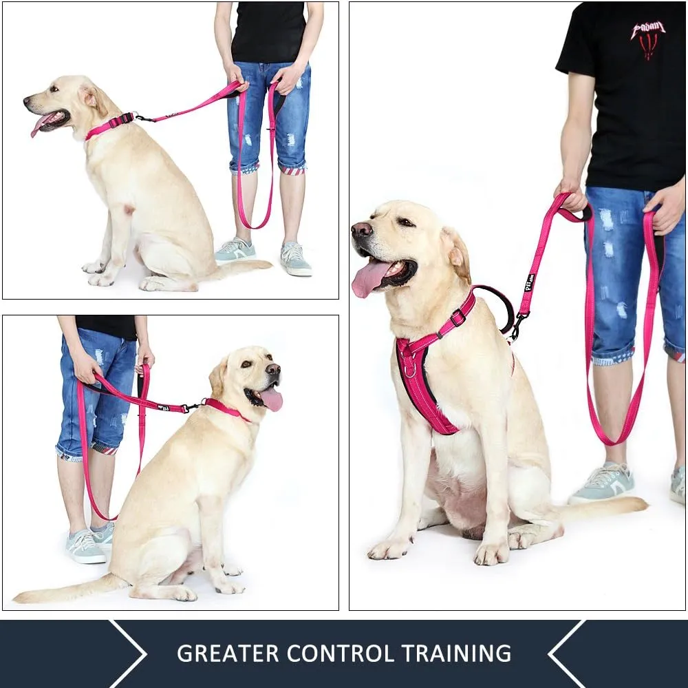 Plutus Pet Double Handle Dog Leash 4ft, Heavy Duty, Reflective Dual Handle Dog Leash for Safety Training, for Medium Large Dogs,2 Handle Leads(Pink)