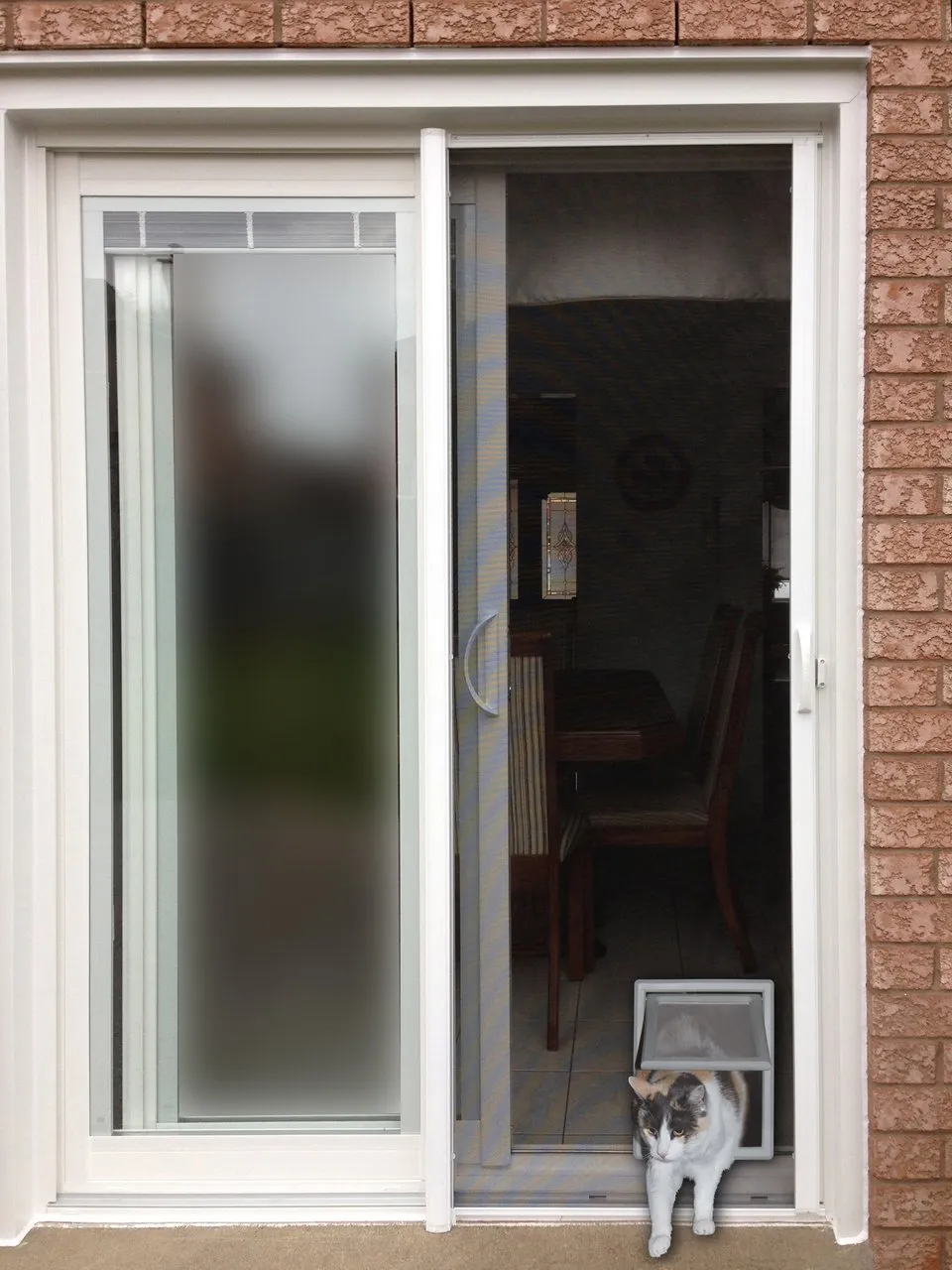 Screen Pet Door - Ideal Pet Products