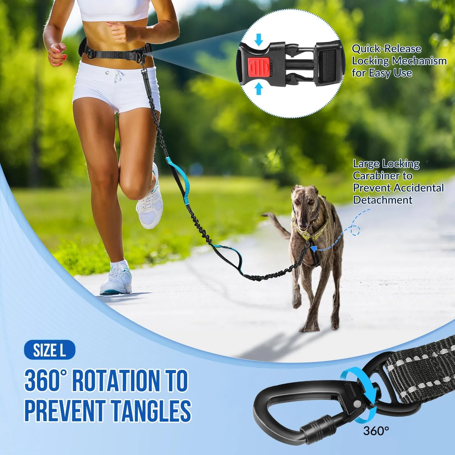 SlowTon Hands Free Dog Leash 2 Dogs - with Removable Zipper Pouch, Shock Absorbing Bungee, Dual Handle & Reflective Stitches, Wide Padded Adjustable Waist Leash for Dogs Walking Running, L for 2 Dogs