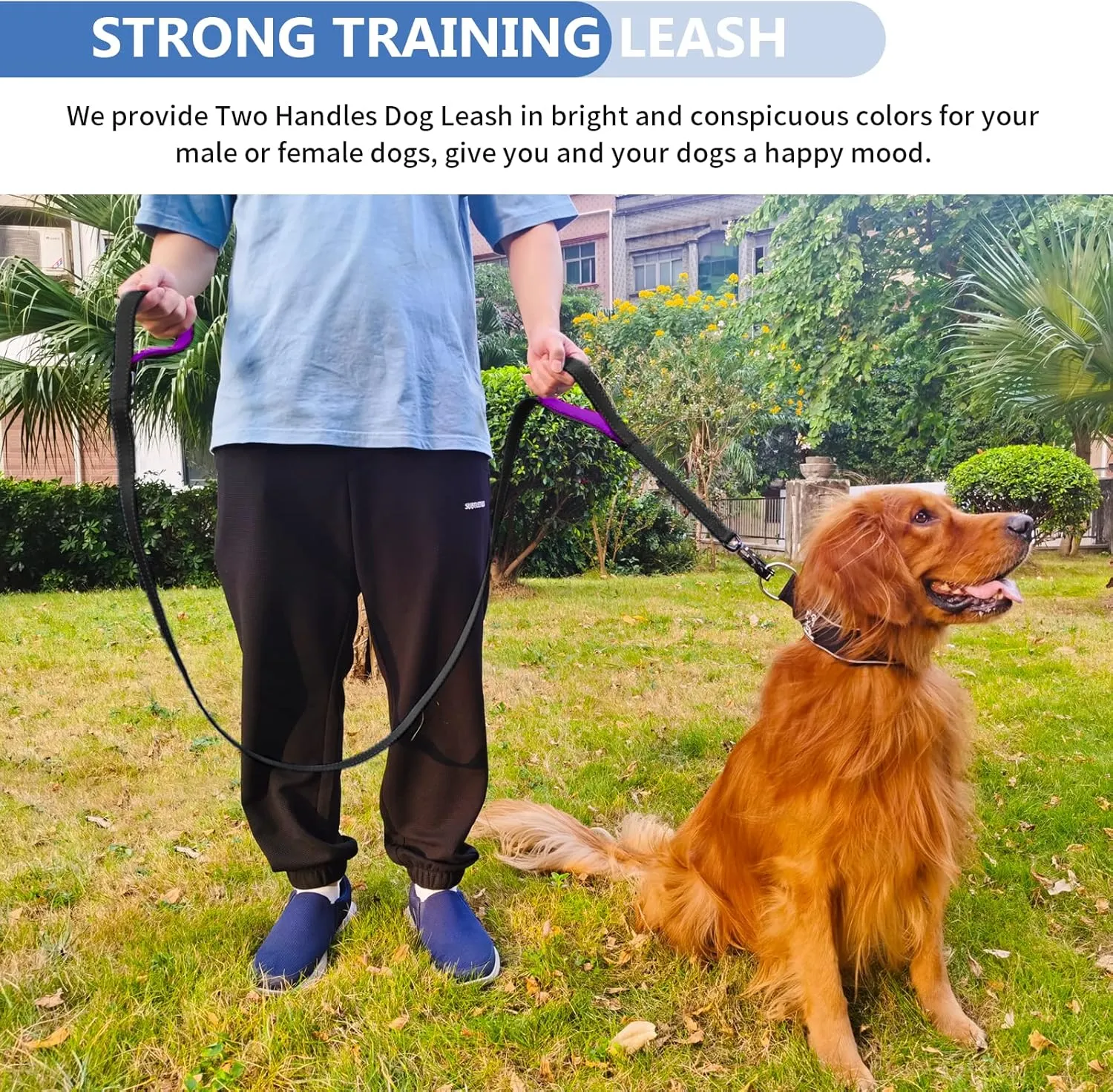 Strong Heavy Duty Dog Leash - 5ft Reflective Nylon Training Leash with Soft Padded Double Handle & Auto Lock Frog Clip - Safety Traffic Control for Large Medium Small Dog No Pull Walk Black Purple,5ft